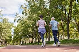 山本由伸投球节奏分析