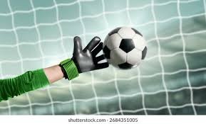 热刺做了一笔好交易：租借拜仁后腰帕利尼亚